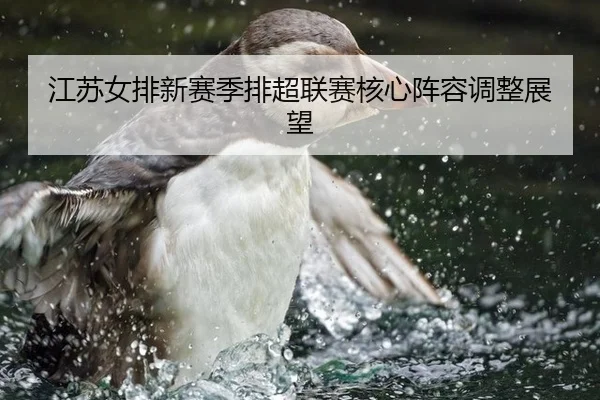 江苏女排新赛季排超联赛核心阵容调整展望