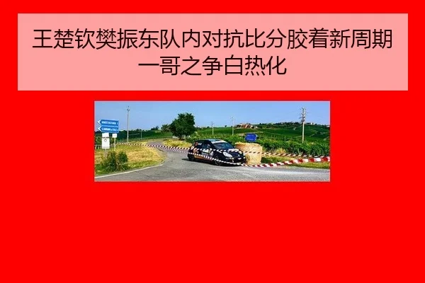 wang-chu-qin-fan-zhen-dong-dui-nei-dui-kang-bi-fen-jiao-zhuo-xin-zhou-qi-yi-ge-zhi-zheng-bai-re-hua-2-992.jpg